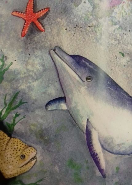 Cardigan Bay dolphins star in new children's book with global warming message